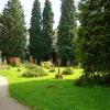 Viale